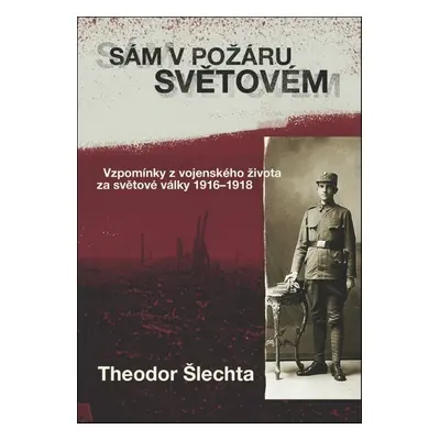 Sám v požáru světovém - Theodor Šlechta