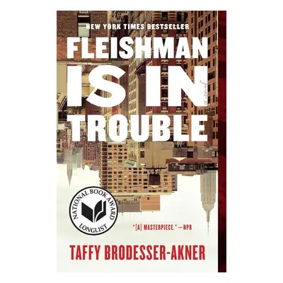 Fleishman Is in Trouble - Taffy Brodesser-Akner