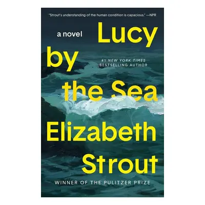 Lucy by the Sea - Elizabeth Strout