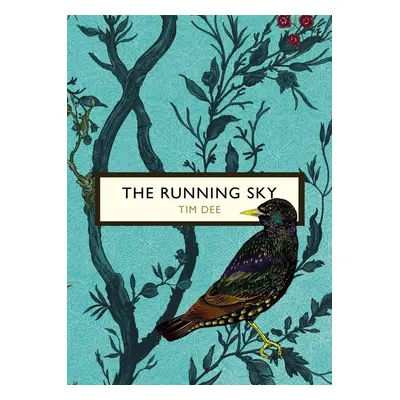 The Running Sky (The Birds and the Bees) - Tim Dee