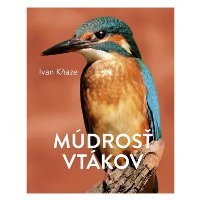 Múdrosť vtákov - Ivan Kňaze