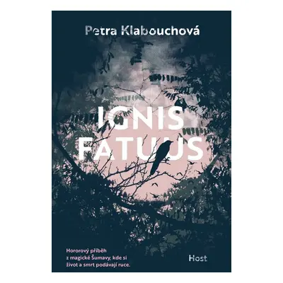 Ignis fatuus - Petra Klabouchová