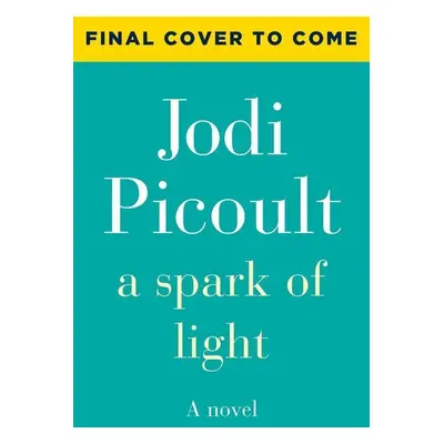 Spark of Light - Jodi Picoult