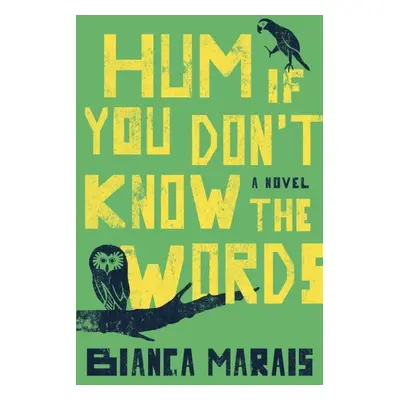 Hum If You Don't Know the Words - Bianca Marais