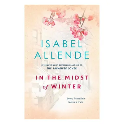 In the Midst of Winter - Isabel Allende