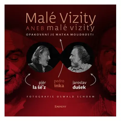 Malé vizity aneb malé vizity - Jaroslav Dušek