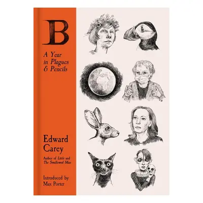 B: A Year in Plagues and Pencils - Edward Carey