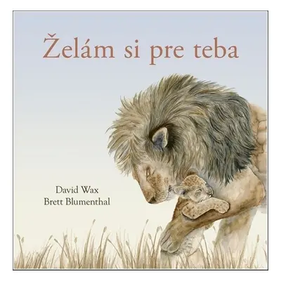 Želám si pre teba - Brett Blumenthal