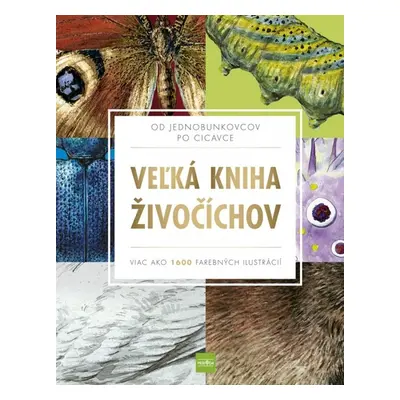 Veľká kniha živočíchov - Autor Neuveden