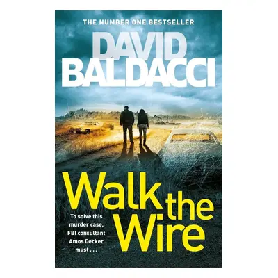 Walk the Wire - David Baldacci