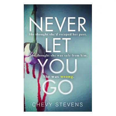 Never Let You Go - Chevy Stevens