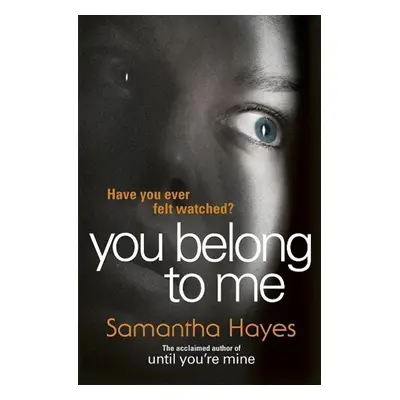 You Belong to Me - Samantha Hayes