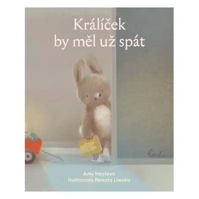 Králíček by měl už spát - Amy Hestová