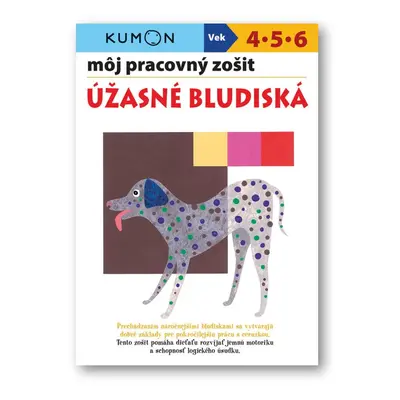 Môj pracovný zošit Úžasné bludiská - Giovanni K. Moto