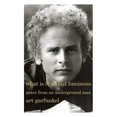 What Is It All but Luminous - Art Garfunkel