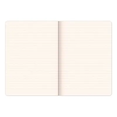 Notes Plameňáci linkovaný - Autor Neuveden