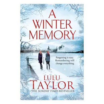 A Winter Memory - Lulu Taylor