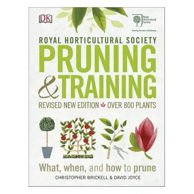 Pruning & Training - David Joyce