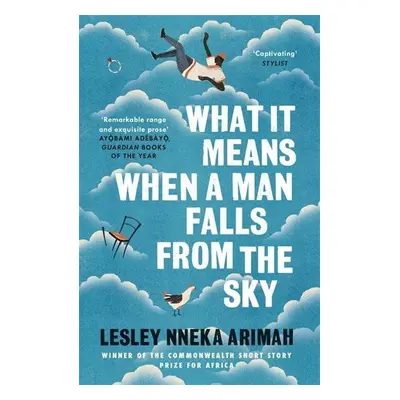 What It Means When A Man Falls From The Sky - Lesley Nneka Arimah