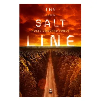 The Salt Line - Holly Goddard Jones