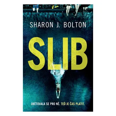 Slib - Sharon J. Bolton