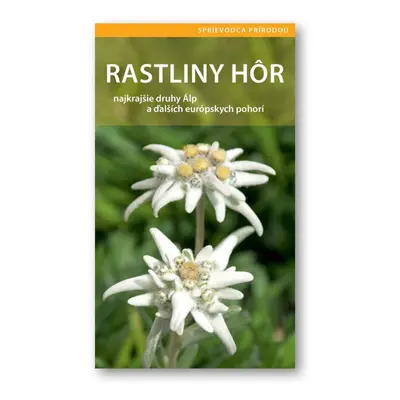 Rastliny hôr - Autor Neuveden