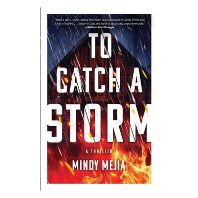 To Catch a Storm - Mindy Mejia