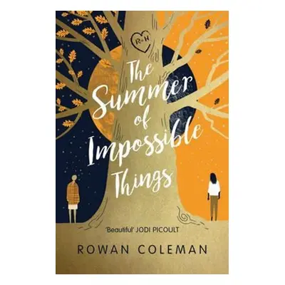 The Summer of Impossible Things - Rowan Coleman