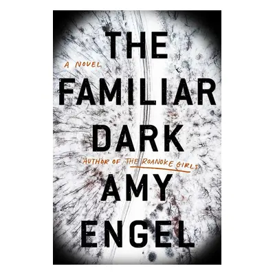 The Familiar Dark - Amy Engel