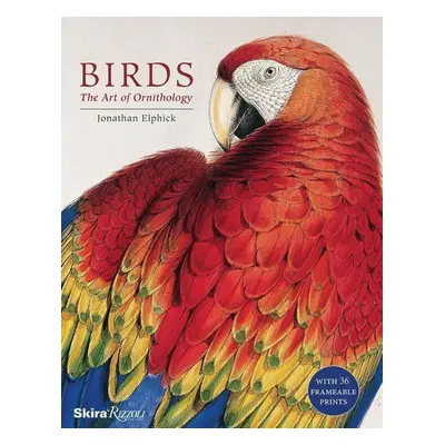 Birds: The Art of Ornithology - Jonathan Elphick