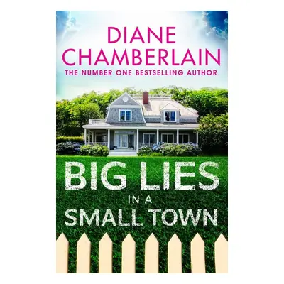 Big Lies in a Small Town - Diane Chamberlain