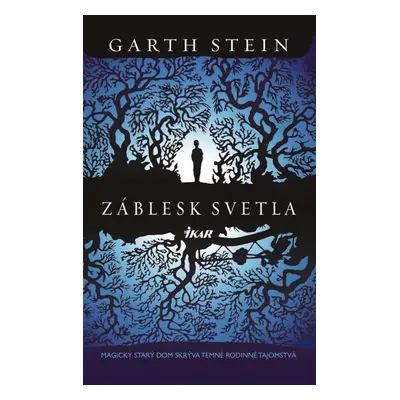 Záblesk svetla - Garth Stein