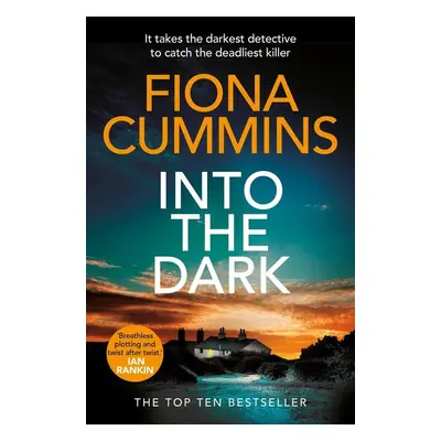 Into the Dark - Fiona Cummins