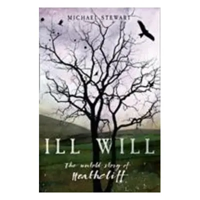 Ill Will - Michael Stewart