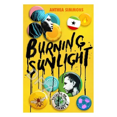 Burning Sunlight - Anthea Simmons