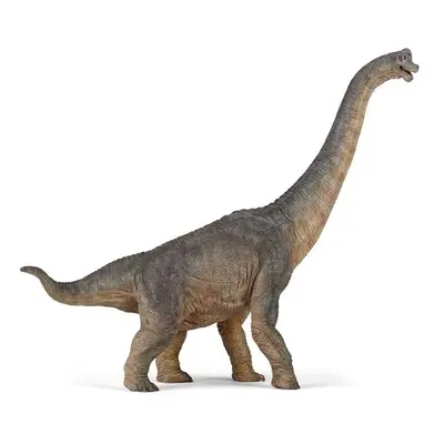 Brachiosaurus - Autor Neuveden