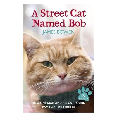 A Street Cat Named Bob - James Bowen