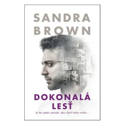 Dokonalá lesť - Sandra Brown