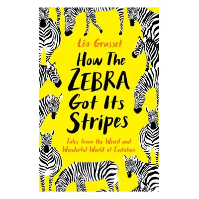 How the Zebra Got its Stripes - Léo Grasset