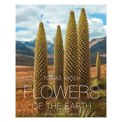 Flowers of the Earth - Tomáš Míček