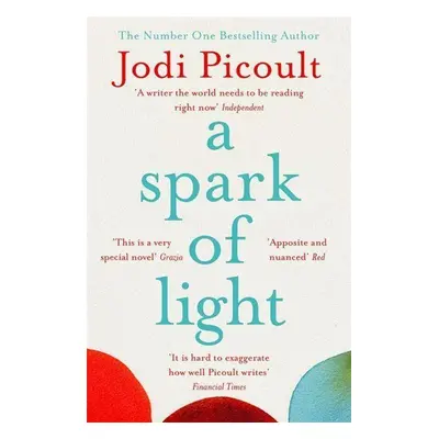 A Spark of Light - Jodi Picoult