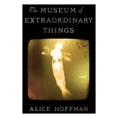 The Museum of Extraordinary Things - Alice Hoffman