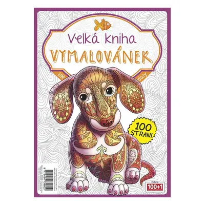 Velká kniha Vymalovánek - Autor Neuveden