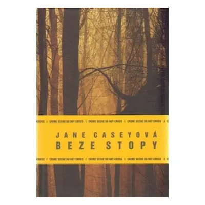 Beze stopy - Jane Caseyová