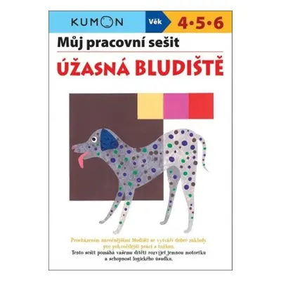 Můj pracovní sešit Úžasná bludiště - Masako Watanabe