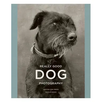 Really Good Dog Photography - Lucy Davies