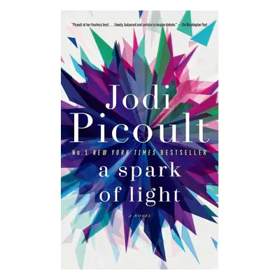 A Spark of Light - Jodi Picoult