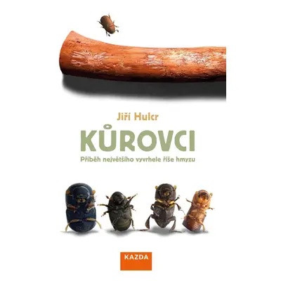 Kůrovci - Jiří Hulcr