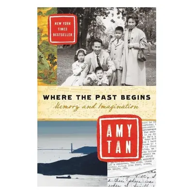 Where the Past Begins - Amy Tan