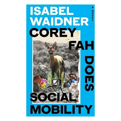 Corey Fah Does Social Mobility - Autor Neuveden